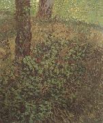 Vincent Van Gogh Undergrowth (nn04) Spain oil painting reproduction